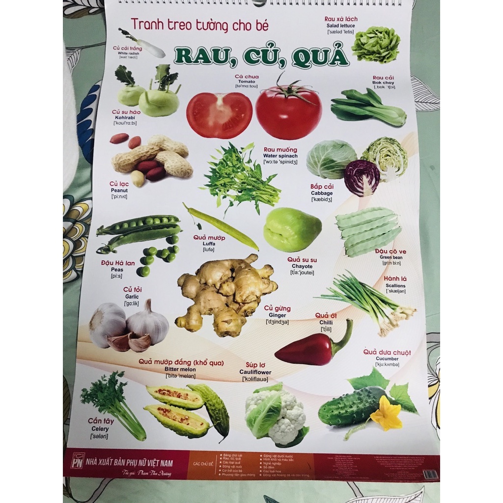 BỘ TRANH TREO TƯỜNG VỀ THẾ GIỚI XUNG QUANH 14 CHỦ ĐỀ IN 2 MẶT