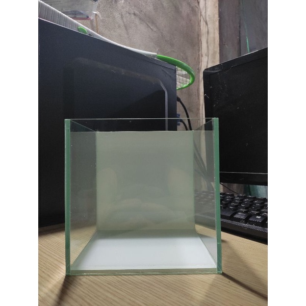 bể cá mini 15.12.15 đáy lưng kính màu
