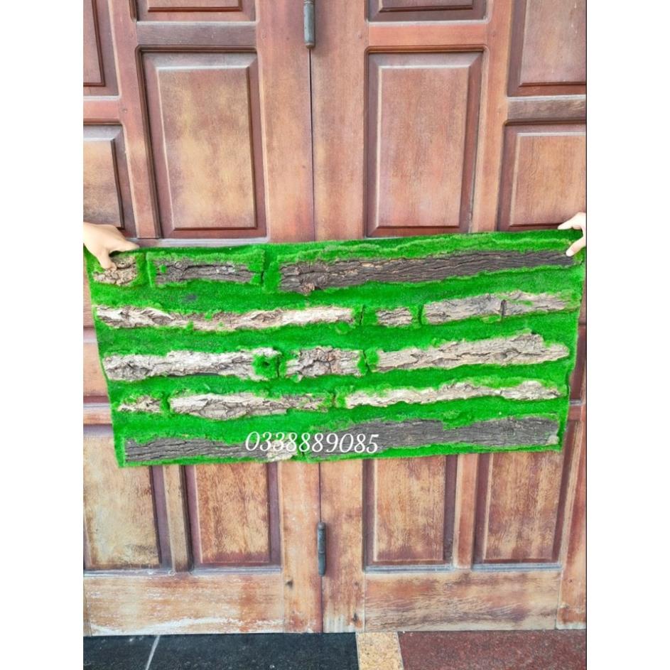 Thảm Rêu Gỗ Trang Trí Tường kích thước 50x100cm