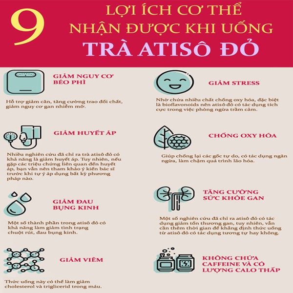 [HCM] Trà Hoa Atiso Đỏ Sấy Khô 100g ( Thanh Nhiệt - Lợi Tiểu - Mát Gan - Hỗ Trợ Béo Phì )