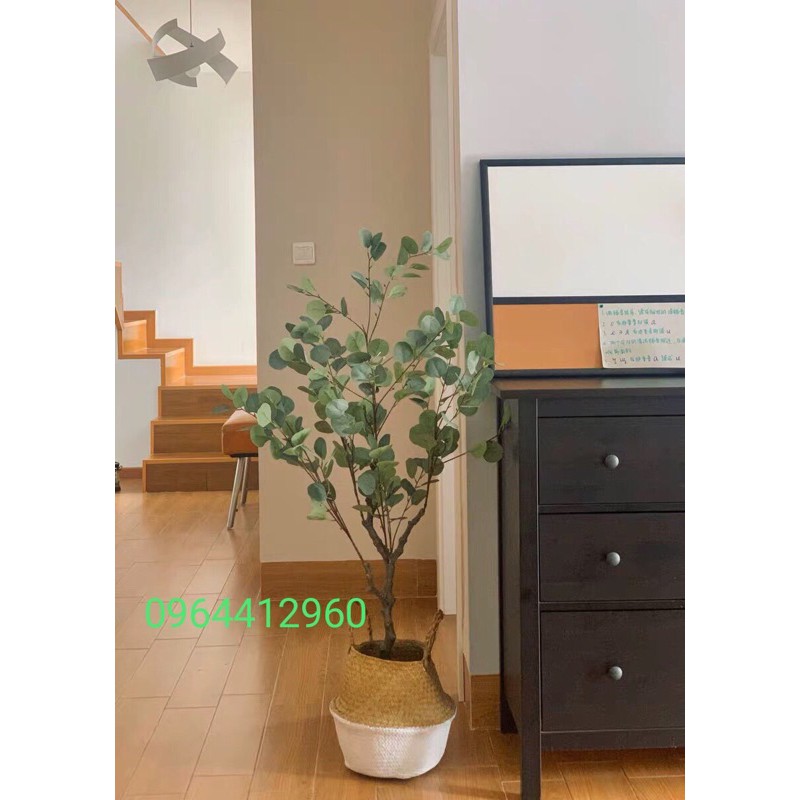 Cây bạch đàn giả kèm giỏ cói - cây lá táo trang trí nhà cửa 130cm - Hằng decor