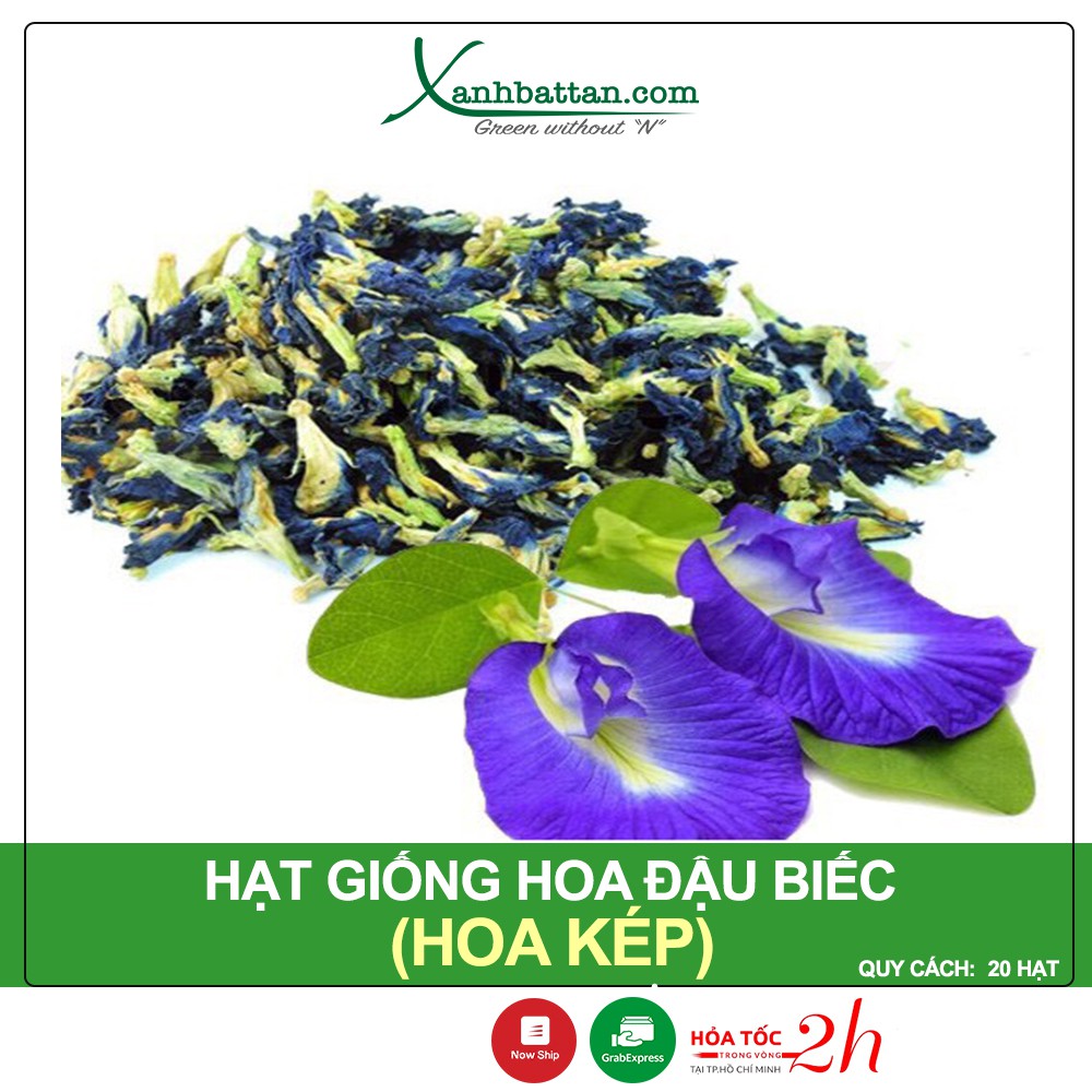 Hạt Giống Hoa Đậu Biếc (Hoa Kép), Nảy Mầm Cao, Ra Hoa Nhiều, Dễ Trồng Gói 20 Hạt