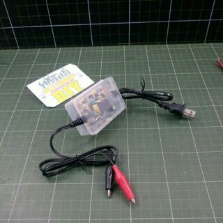 bộ sạc ắc quy tự ngắt 12v