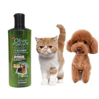 Sữa Tắm Olive Cho Chó Mèo, Cún, Thú Cưng Đặc Biệt Đủ Màu
