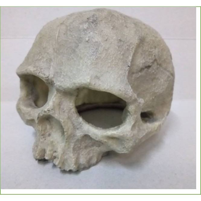 Sọ người trang trí bể cá_ thuỷ sinh