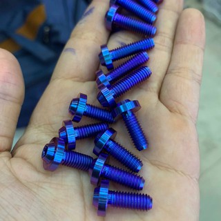 Ốc titanium GR5 6 ly 1,5 phân, 6 ly 2 phân dù nhỏ