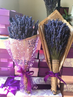 Combo sỉ hoa lavender thỏ ngọc