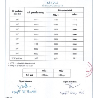 Máy khử khuẩn nano bạc , khử mùi FOG MACHINE, phun sương oto, khử mùi không gian lớn công suất 1500w
