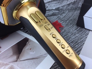 Mic karaoke Sd10 Hát Cực Hay Nhạc Lớn