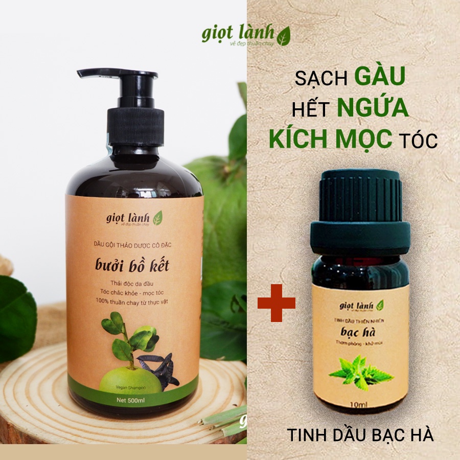 Dầu gội đầu bưởi bồ kết, thảo dược - Tinh dầu bạc hà nguyên chất, giúp kích mọc tóc, giảm gàu, ngứa, rụng tóc Giọt Lành