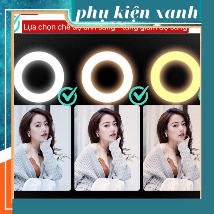 [ Cao cấp ]Đèn Livestream Để Bàn 2 Kẹp  siêu bền hỗ trợ ánh sáng quay video, tiktok,livestream