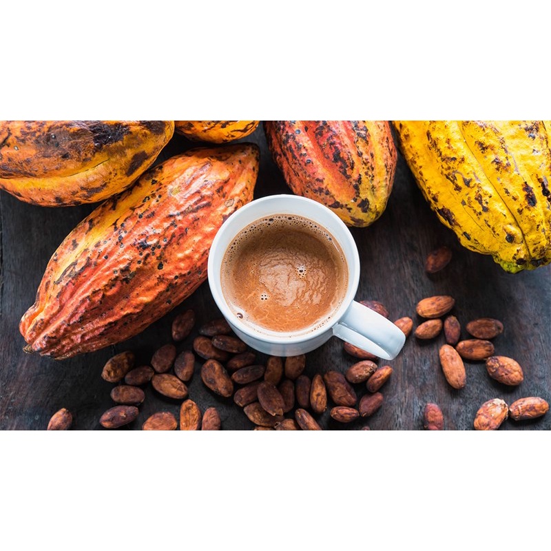 Bột Cacao Nguyên Chất DK Harvest - Khối Lượng 100g - Đồ Uống An Toàn Cho Sức Khỏe - CaCao Nguyên Chất