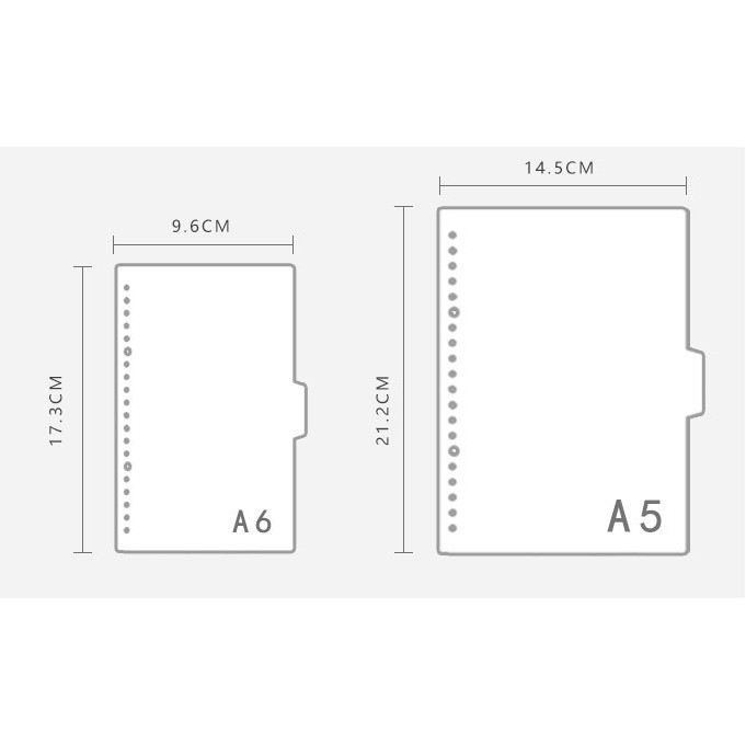 BÌA PHÂN MỤC A5 6 LỖ