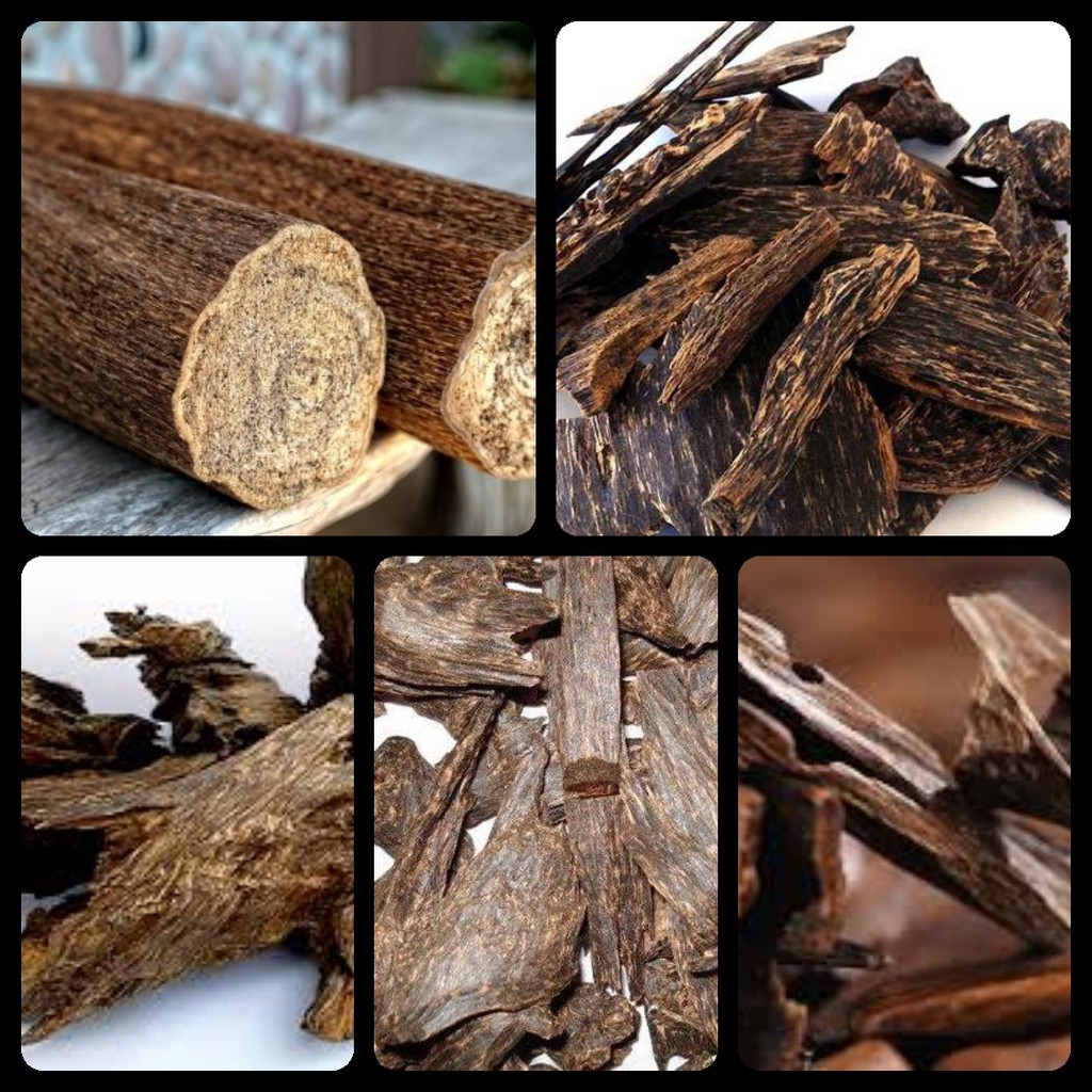 Tinh dầu trầm hương nguyên chất Mộc Mây