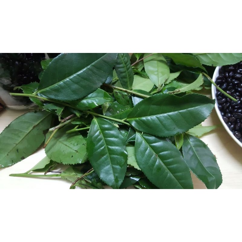 1kg Lá chè xanh trà xanh Bảo Lộc hữu cơ tươi ngon