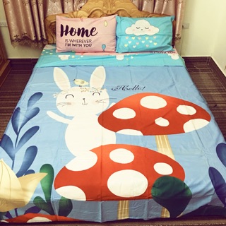 Chăn ga cotton 3D hình nấm km