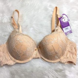 COMBO áo ngực, quần chip đùi