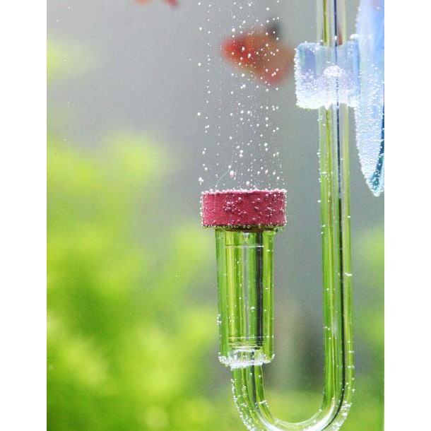 Cốc Sủi Co2 Neo Normal Original Giảm Chỉ Con 150 000 đ