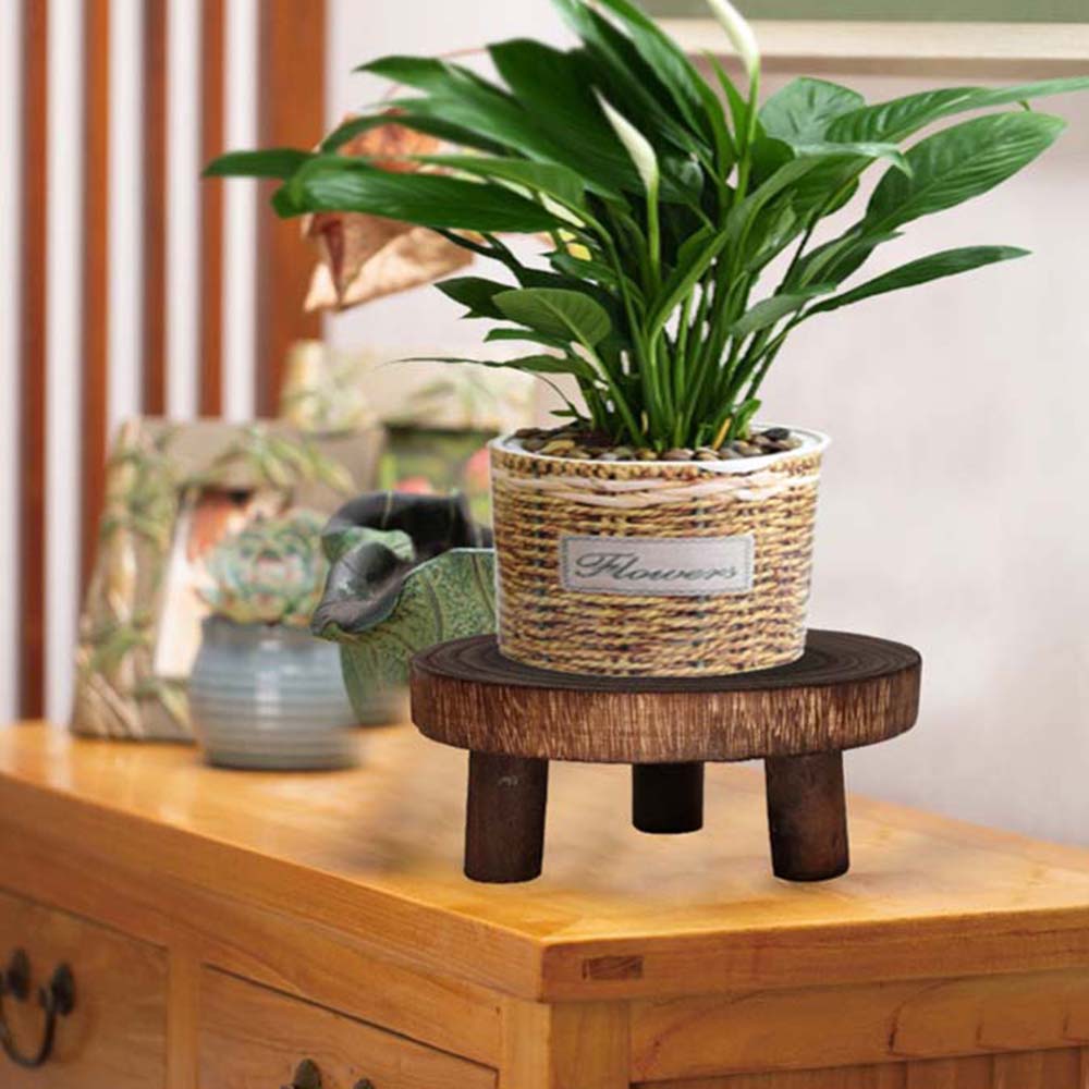 Đế gỗ trang trí chậu hoa tiện lợi