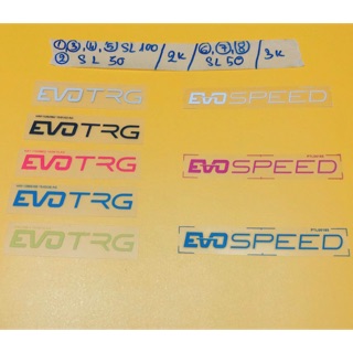 Set 5 hình Sticker ủi,hình ủi, patch ủi chữ EVO
