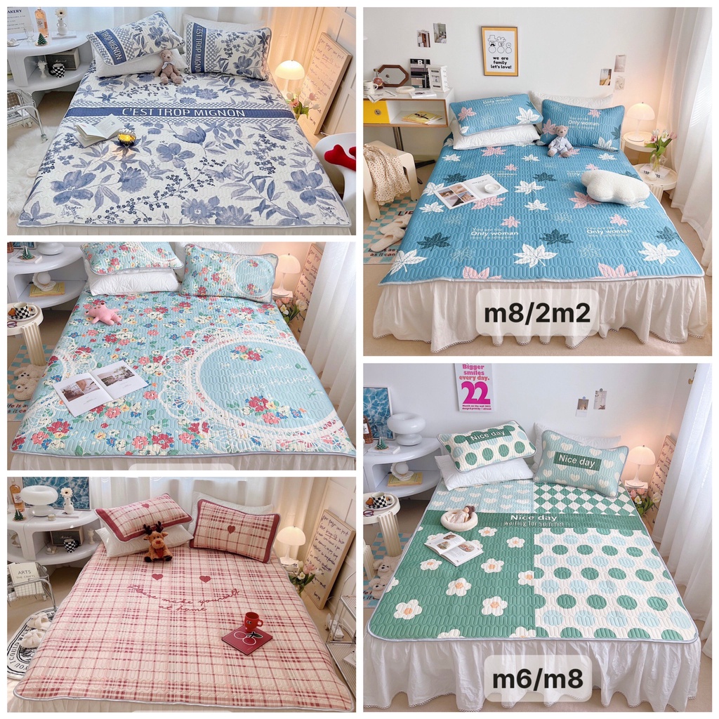 Chiếu Điều Hòa Tecel Latex 5D Luxury , đủ kích thước 1m6/1m8/2m2- Gấu Nơ Đỏ