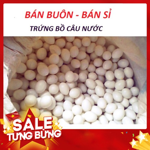 [ GIẢM GIÁ ] Trứng bồ câu nước 50 quả