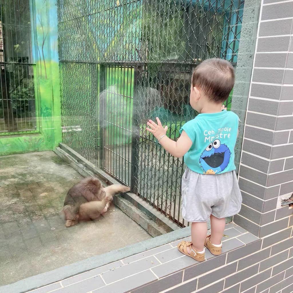 Bộ Ba Lỗ Trẻ Em, Bộ Sát Nách Cho Bé Trai Và Bé Gái Tokkie Chất Liệu Cotton 100% Từ 5Kg Đến 28Kg  Ken Store