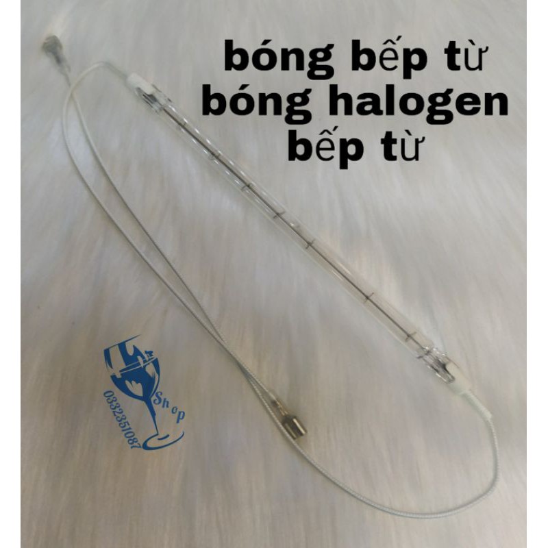 bóng bếp từ - bóng halogen bếp từ