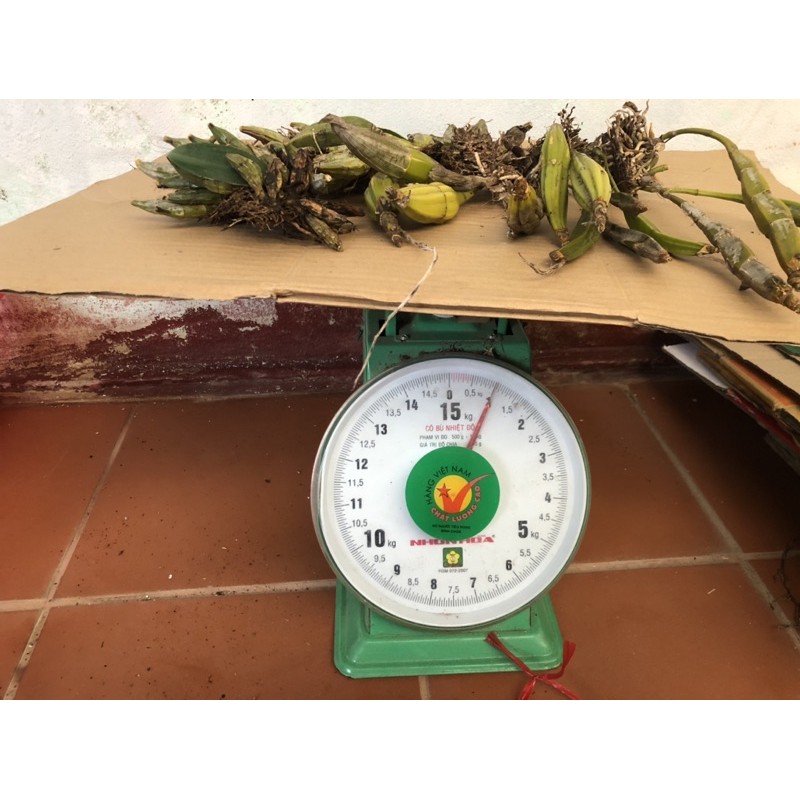 Lan thanh lý 1kg hàng xuống lá nhiều loại
