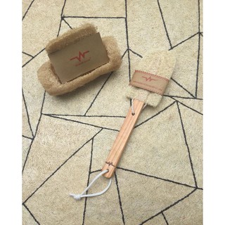 CÂY RỬA LY XƠ MƯỚP