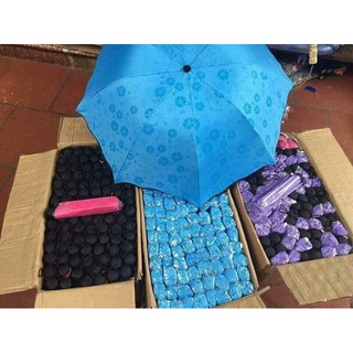 Ô gặp nước nở hoa - ô gấp gọn