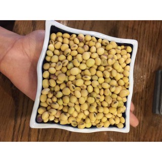 Hạt đậu tương (đậu nành) 1 kg, ;oại đẹp, tỷ lệ nảy mầm cao