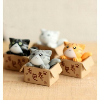 Tiểu cảnh mèo nằm hộp
