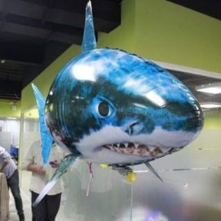 CÁ VÀNG SIÊU TO KHỦNG LỒ BIÊT BAY-KHÔNG KÈM BƠM