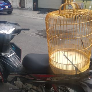 cặp dây ràn vận chuyển lồng chim