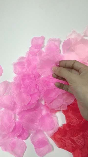 Gói 100 cánh hoa hồng giả, cánh hoa hồng lụa trang trí phòng cưới , trang trí sinh nhật