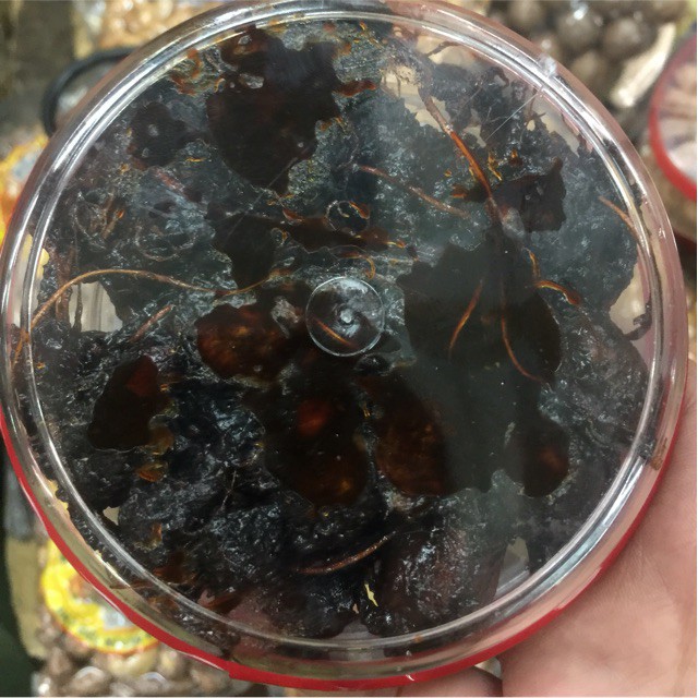 500gram Ô mai me xào