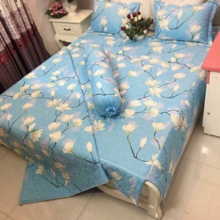 Bộ Ga gối Poly trần bông