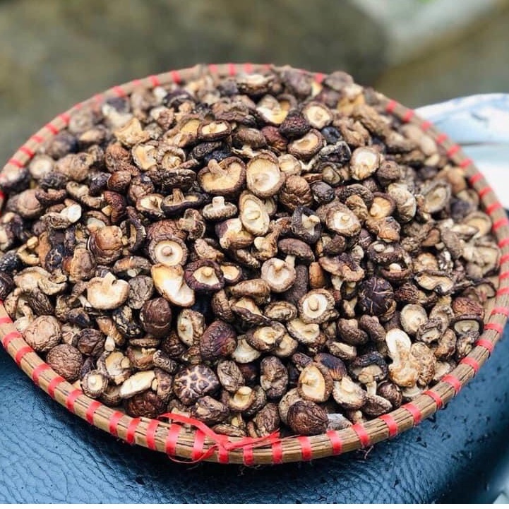 Nấm Đông Cô - Nấm Hương Thiên Nhiên Từ Rừng Tây Bắc - Ẩm Thực Hà Giang, Đặc Sản Tây Bắc | BigBuy360 - bigbuy360.vn