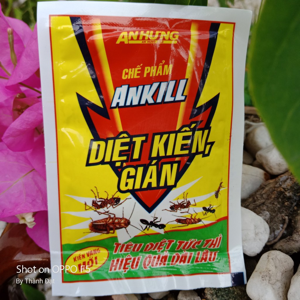 Chế phẩm diệt kiến gián Ankill (2gr)