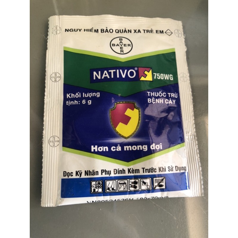 Thuốc trừ bệnh NATIVO 750WG 6g
