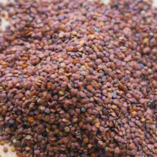 100G NGŨ HOA HẠT - HẠT ĐÌNH LỊCH