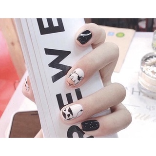Nailbox thiết kế