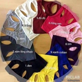 Combo 3 áp ba lỗ croptop