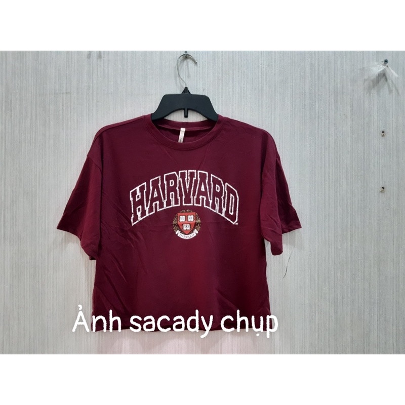 Áo Croptop B Forever Đỏ Đô In Hình - 3496