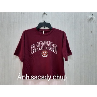 Áo Croptop B Forever Đỏ Đô In Hình - 3496
