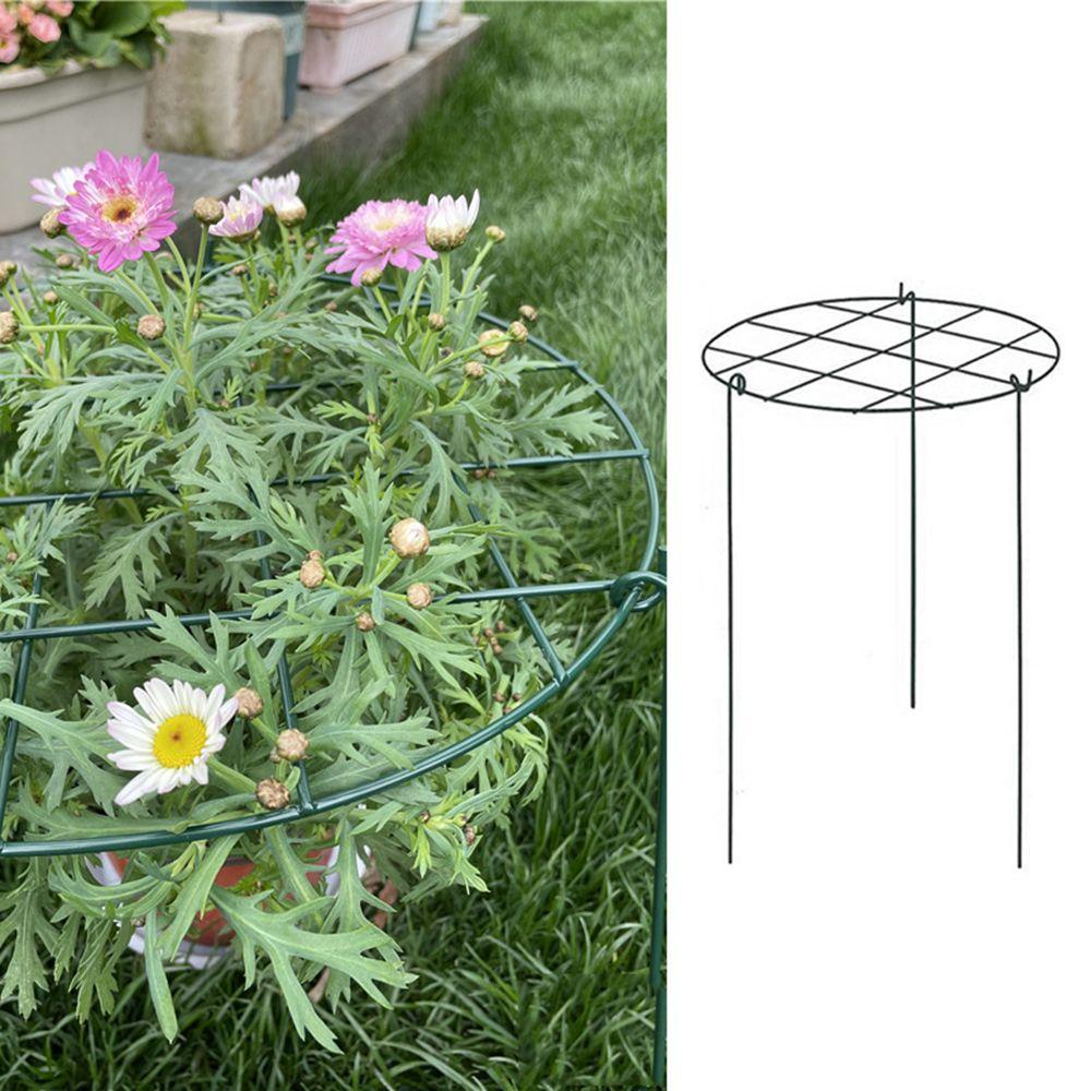 Giá Đỡ Cây Trồng Rau Củ Quả Dùng Cho Sân Vườn Kat1