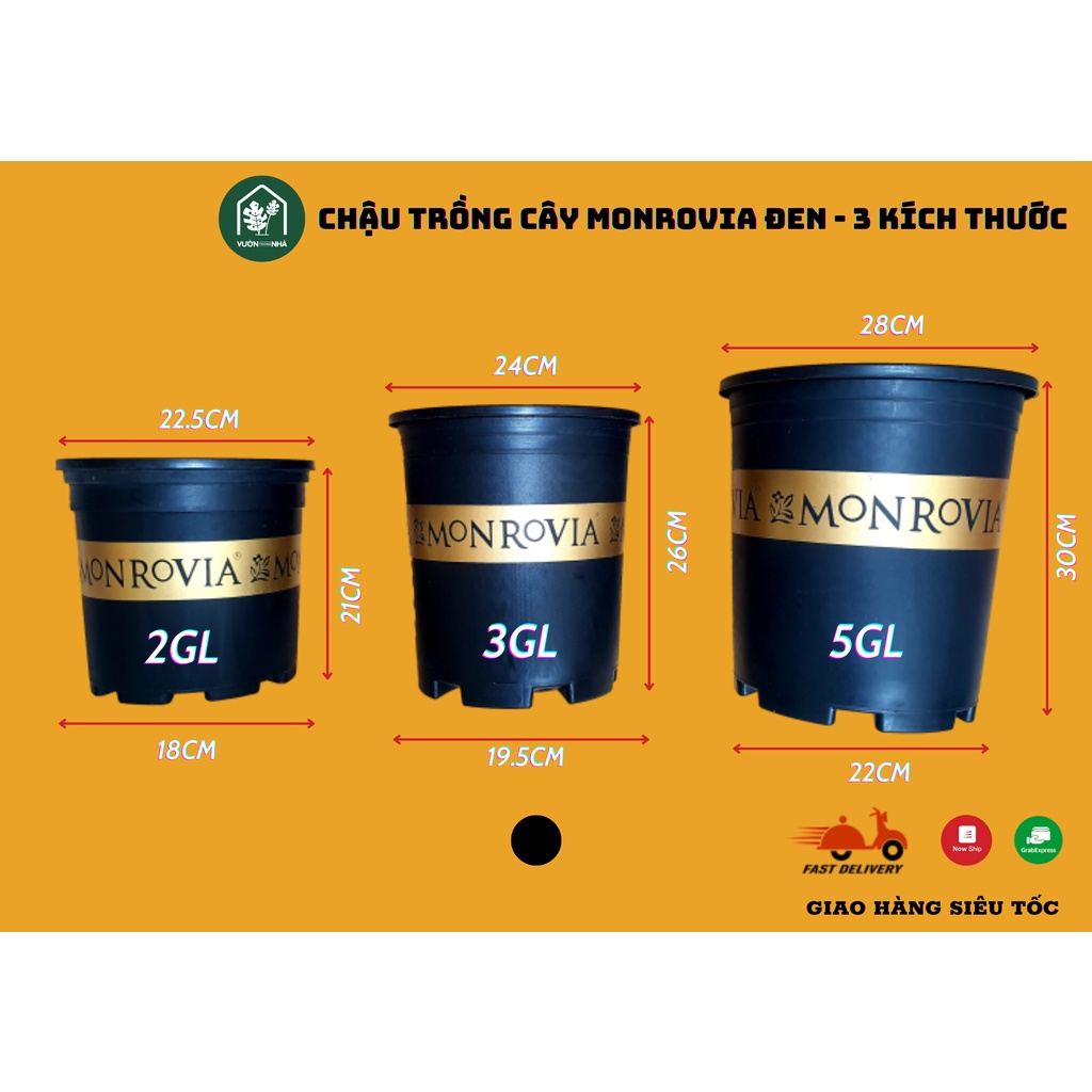 Chậu nhựa MONROVIA 2 màu sắc 4 kích thước 1GL 2GL 3GL 5GL Việt Nam - Chậu trồng cây cảnh