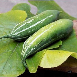 10h - HẠT GIÓNG LẶC LẦY (KHỔ QUA TÂY) XANH