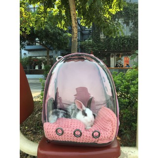 Balo trong suốt phi hành gia cho thú cưng